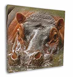 Hippopotamus, Hippo Square Canvas 12"x12" Wall Art Picture Print