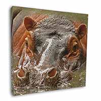 Hippopotamus, Hippo Square Canvas 12"x12" Wall Art Picture Print