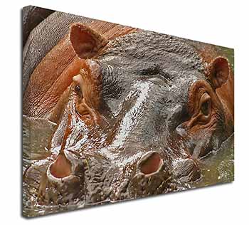 Hippopotamus, Hippo Canvas X-Large 30"x20" Wall Art Print