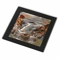 Hippopotamus, Hippo Black Rim High Quality Glass Coaster