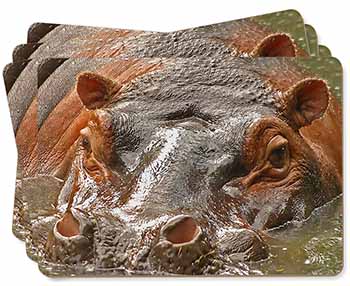 Hippopotamus, Hippo Picture Placemats in Gift Box