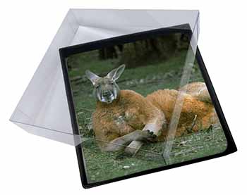 4x Cheeky Kangaroo Picture Table Coasters Set in Gift Box