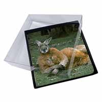 4x Cheeky Kangaroo Picture Table Coasters Set in Gift Box