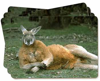 Cheeky Kangaroo Picture Placemats in Gift Box