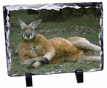 Cheeky Kangaroo, Stunning Photo Slate