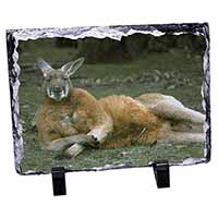 Cheeky Kangaroo, Stunning Animal Photo Slate