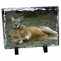 Cheeky Kangaroo, Stunning Photo Slate