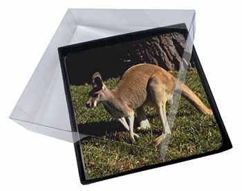4x Kangaroo Picture Table Coasters Set in Gift Box