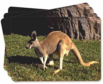 Kangaroo Picture Placemats in Gift Box