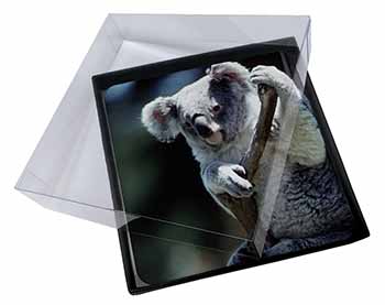 4x Cute Koala Bear Picture Table Coasters Set in Gift Box