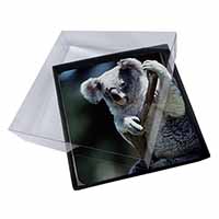 4x Cute Koala Bear Picture Table Coasters Set in Gift Box