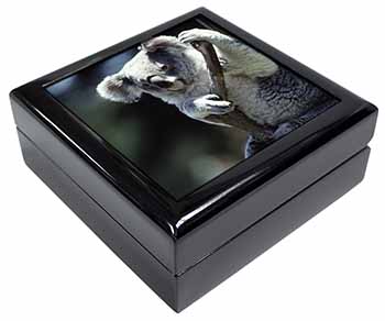 Cute Koala Bear Keepsake/Jewellery Box