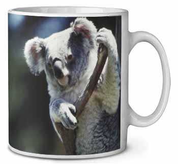 Cute Koala Bear Ceramic 10oz Coffee Mug/Tea Cup