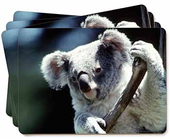 Cute Koala Bear Picture Placemats in Gift Box