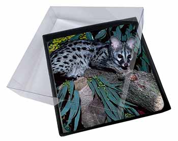 4x Wild Genet Cat Wildlife Print Picture Table Coasters Set in Gift Box