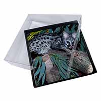 4x Wild Genet Cat Wildlife Print Picture Table Coasters Set in Gift Box