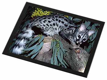 Wild Genet Cat Wildlife Print Black Rim Glass Placemat Animal Table Gift