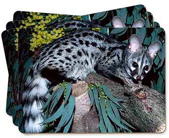 Wild Genet Cat Wildlife Print Picture Placemats in Gift Box