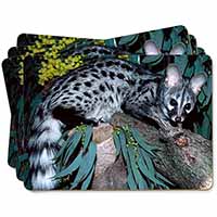 Wild Genet Cat Wildlife Print Picture Placemats in Gift Box