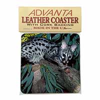 Wild Genet Cat Wildlife Print Single Leather Photo Coaster Animal Breed Gift