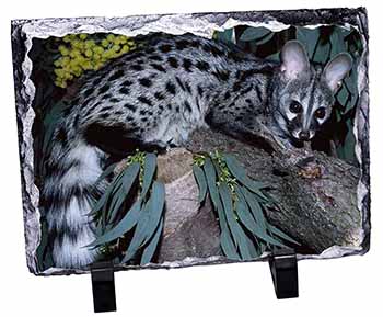 Wild Genet Cat Wildlife Print Photo Slate Christmas Gift Ornament