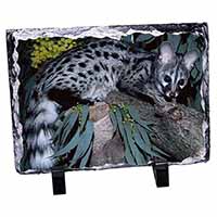 Wild Genet Cat Wildlife Print Photo Slate Christmas Gift Ornament