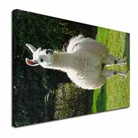 Llama Canvas X-Large 30"x20" Wall Art Print