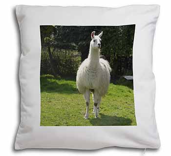 Llama Soft White Velvet Feel Scatter Cushion