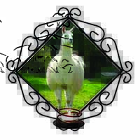 Llama Wrought Iron Wall Art Candle Holder