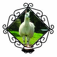 Llama Wrought Iron Wall Art Candle Holder