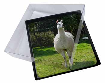 4x Llama Picture Table Coasters Set in Gift Box