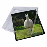 4x Llama Picture Table Coasters Set in Gift Box