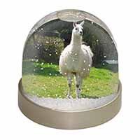 Llama Snow Globe Photo Waterball