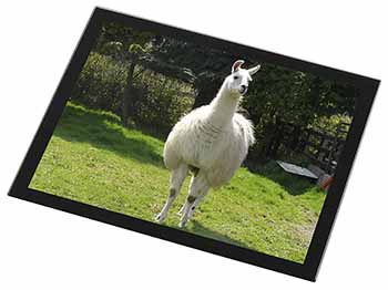 Llama Black Rim High Quality Glass Placemat