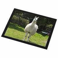 Llama Black Rim High Quality Glass Placemat