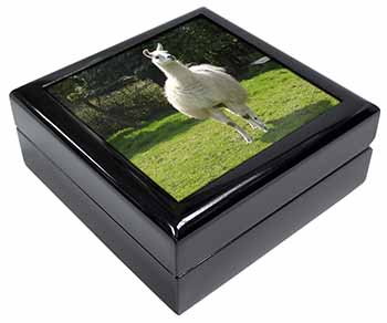 Llama Keepsake/Jewellery Box