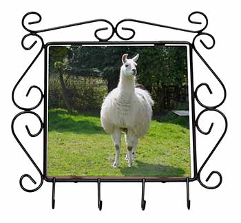 Llama Wrought Iron Key Holder Hooks