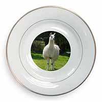 Llama Gold Rim Plate Printed Full Colour in Gift Box