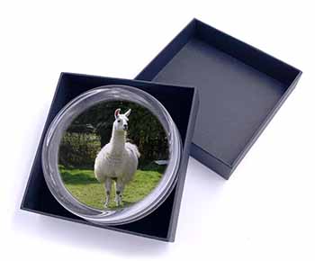 Llama Glass Paperweight in Gift Box