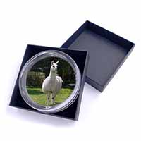 Llama Glass Paperweight in Gift Box