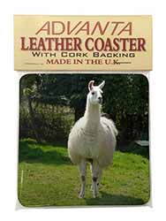 Llama Single Leather Photo Coaster