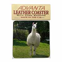 Llama Single Leather Photo Coaster