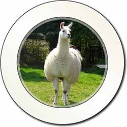 Llama Car or Van Permit Holder/Tax Disc Holder