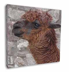 South American Llama Square Canvas 12"x12" Wall Art Picture Print