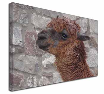 South American Llama Canvas X-Large 30"x20" Wall Art Print