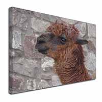 South American Llama Canvas X-Large 30"x20" Wall Art Print