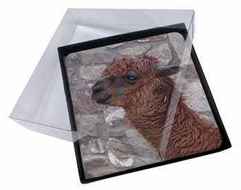 4x South American Llama Picture Table Coasters Set in Gift Box