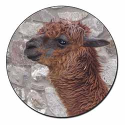 South American Llama Fridge Magnet Printed Full Colour