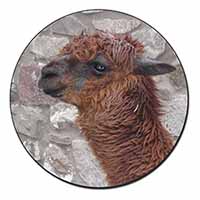 South American Llama Fridge Magnet Printed Full Colour