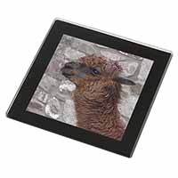 South American Llama Black Rim High Quality Glass Coaster
